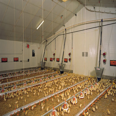 Buy Fully Automated Modular Steel Structure Poultry House Fireproof Prefab Farm Buildings online manufacture