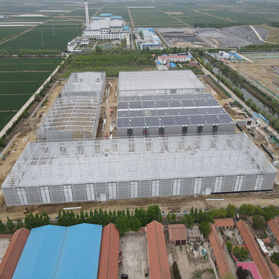 Modern Galvanized Steel Frame Building Construction With High Weather Resistance