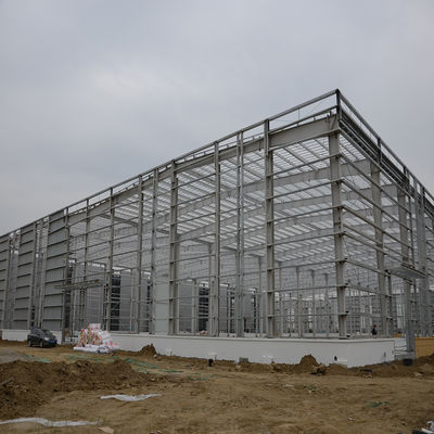 Customized Steel Structure Factory Galvanized Prefab Building Construction