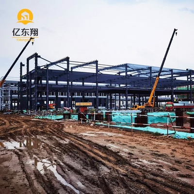 Custom Steel Frame Building for Warehouse and Factory Construction