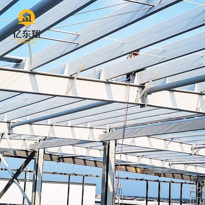 Custom Steel Frame Building for Warehouse and Factory Construction