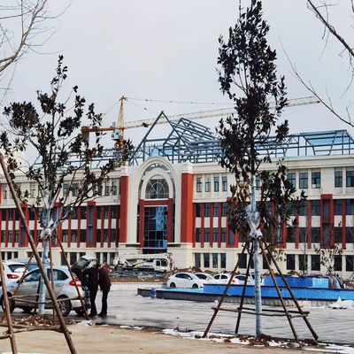 Prefabricated Custom Steel Commercial Buildings For Supermarket Shopping Mall