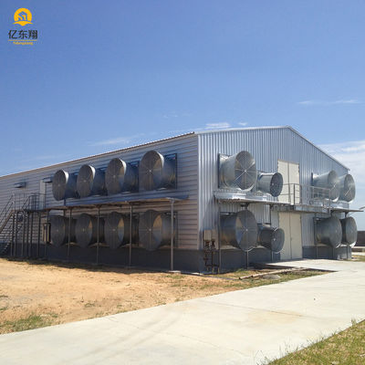 Large Scale Steel Structure Poultry House Construction Q235 Q235B Q345 S355