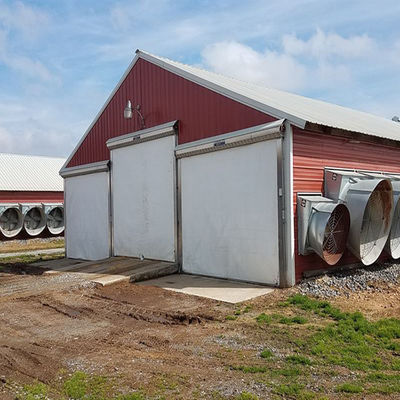 Modern H Beam Steel Structure Poultry House Long Span Steel Frame Farm Buildings