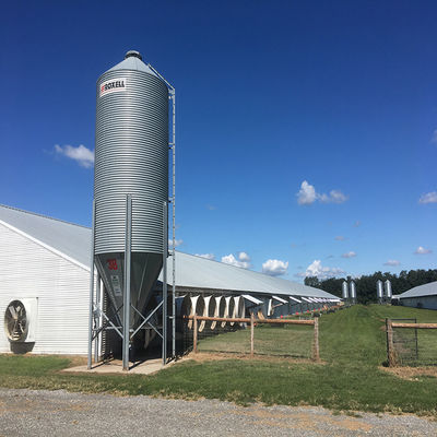 Modern Long Span Steel Construction Building High Capacity Prefabricated Poultry House