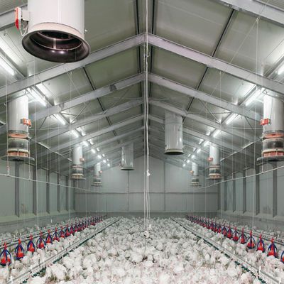 Fireproof Steel Structure Poultry House Automated Ventilation Steel Frame Chicken Coop